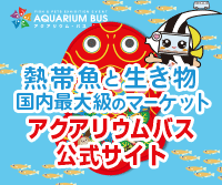 熱帯魚のイベント アクアリウムバス